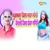 About Muzaffarpur Jila Bhatar Lagihe Vaisali Eyar Lagihe Song